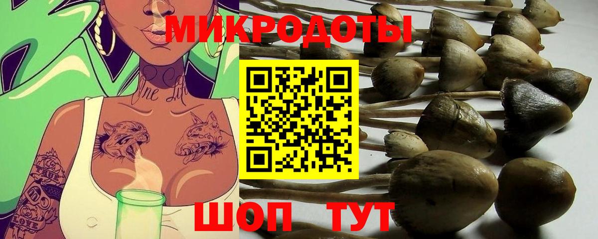 Вольск  Псилоцибиновые грибы Cubensis  Вход с VPN 
