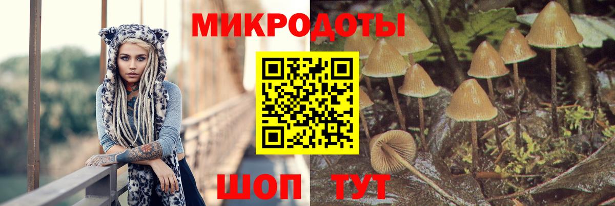 Псилоцибиновые грибы мухоморы Вольск